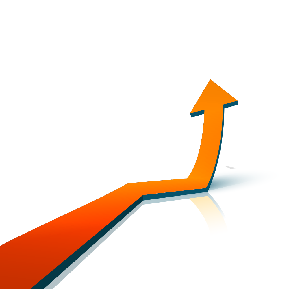 Bottomline Growth